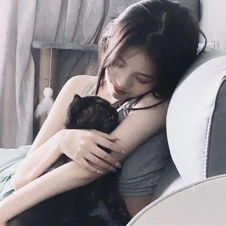 红盾先锋 封面