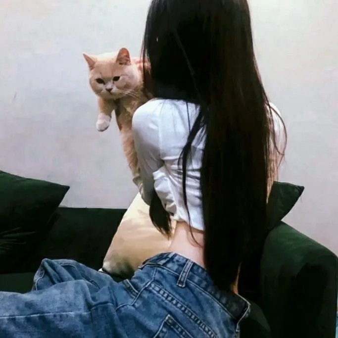 古特兰小镇 封面